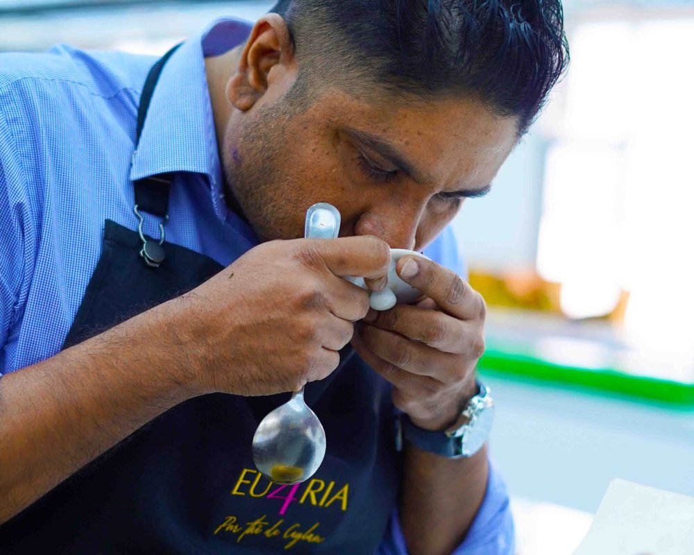 Une expérience moderne du thé